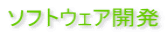 ソフトウェア開発